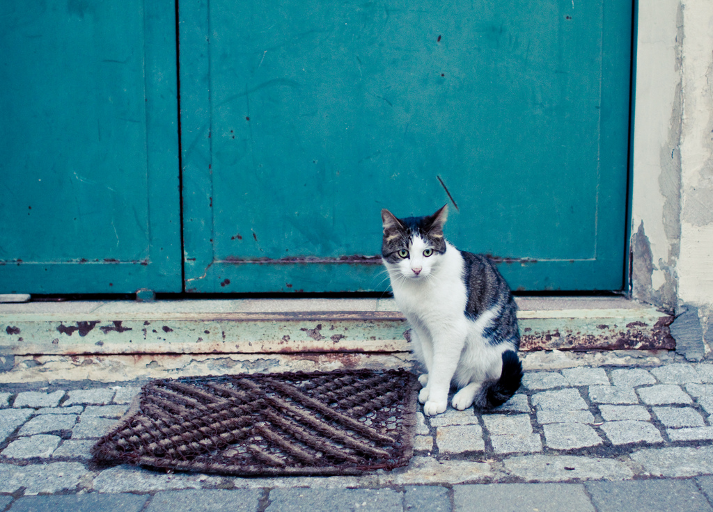 Welcome mat with cat and blue door
